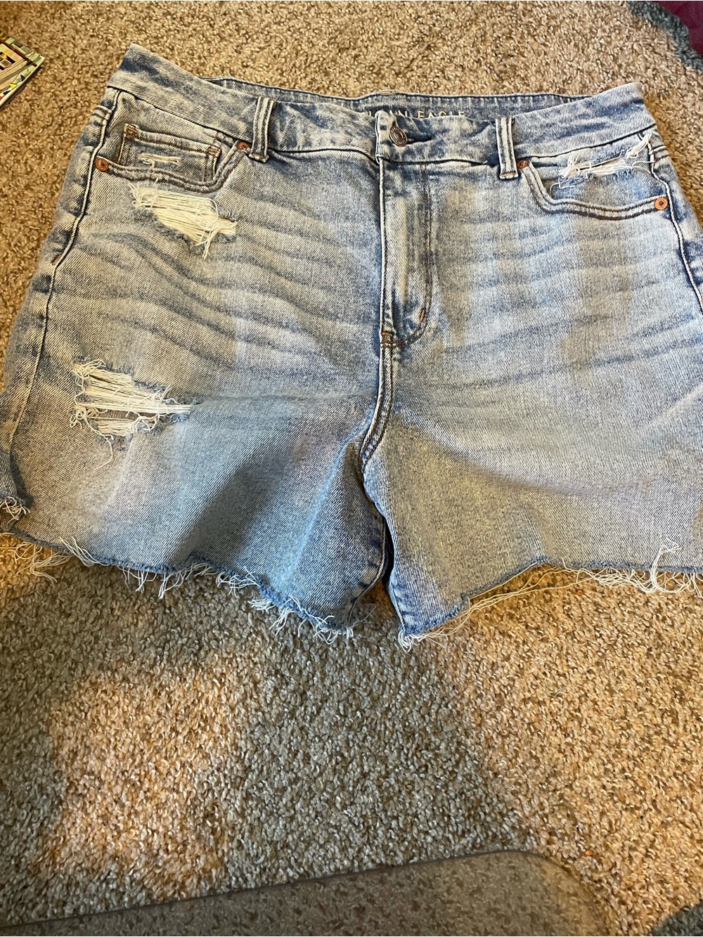 American Eagle Outfitters Light Blue Distressed Denim Shorts